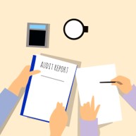 Performing an Audit in Cyprus